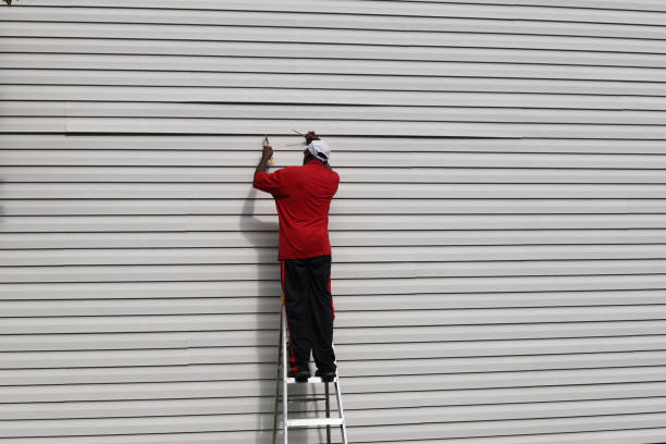 Best Insulated Siding Installation  in Lewiston, UT